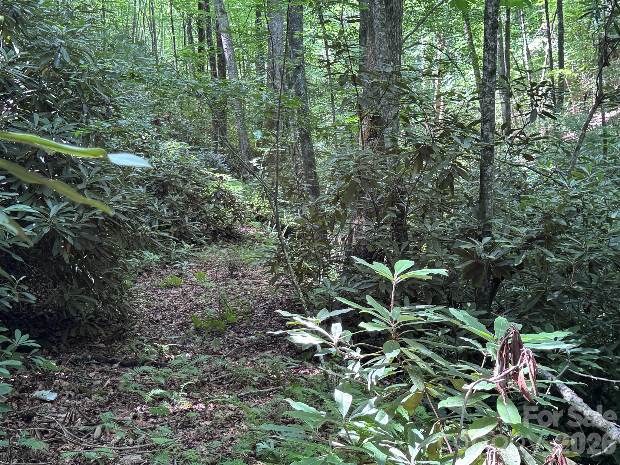 The Reserve - Land