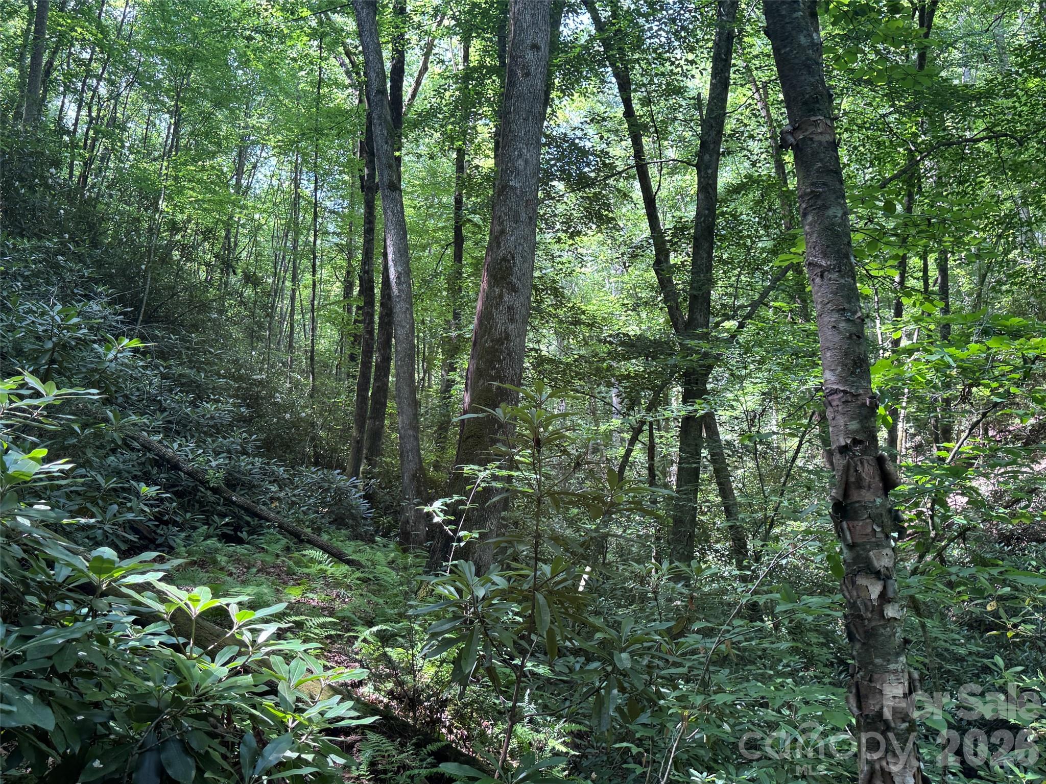 The Reserve - Land