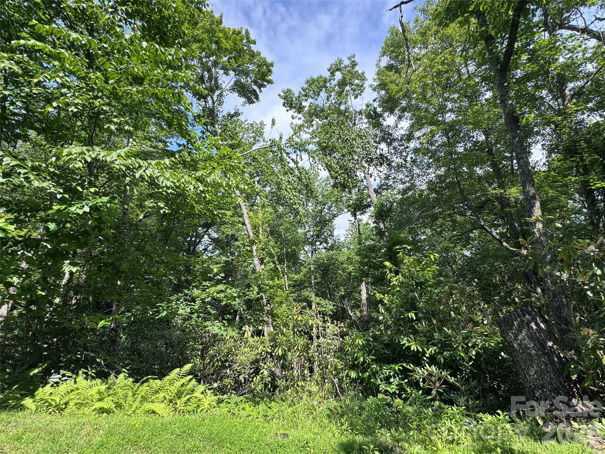 The Reserve - Land