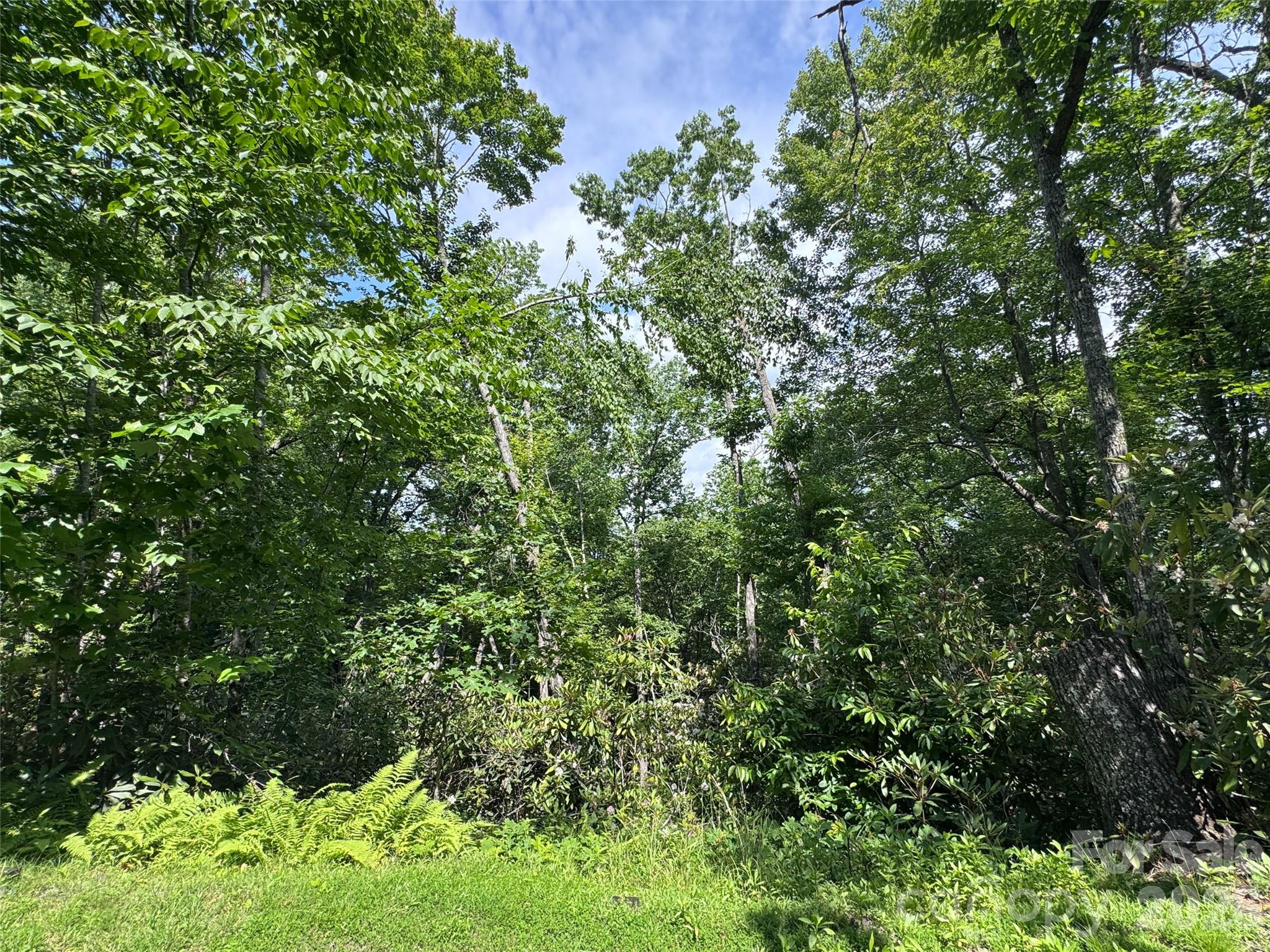 The Reserve - Land