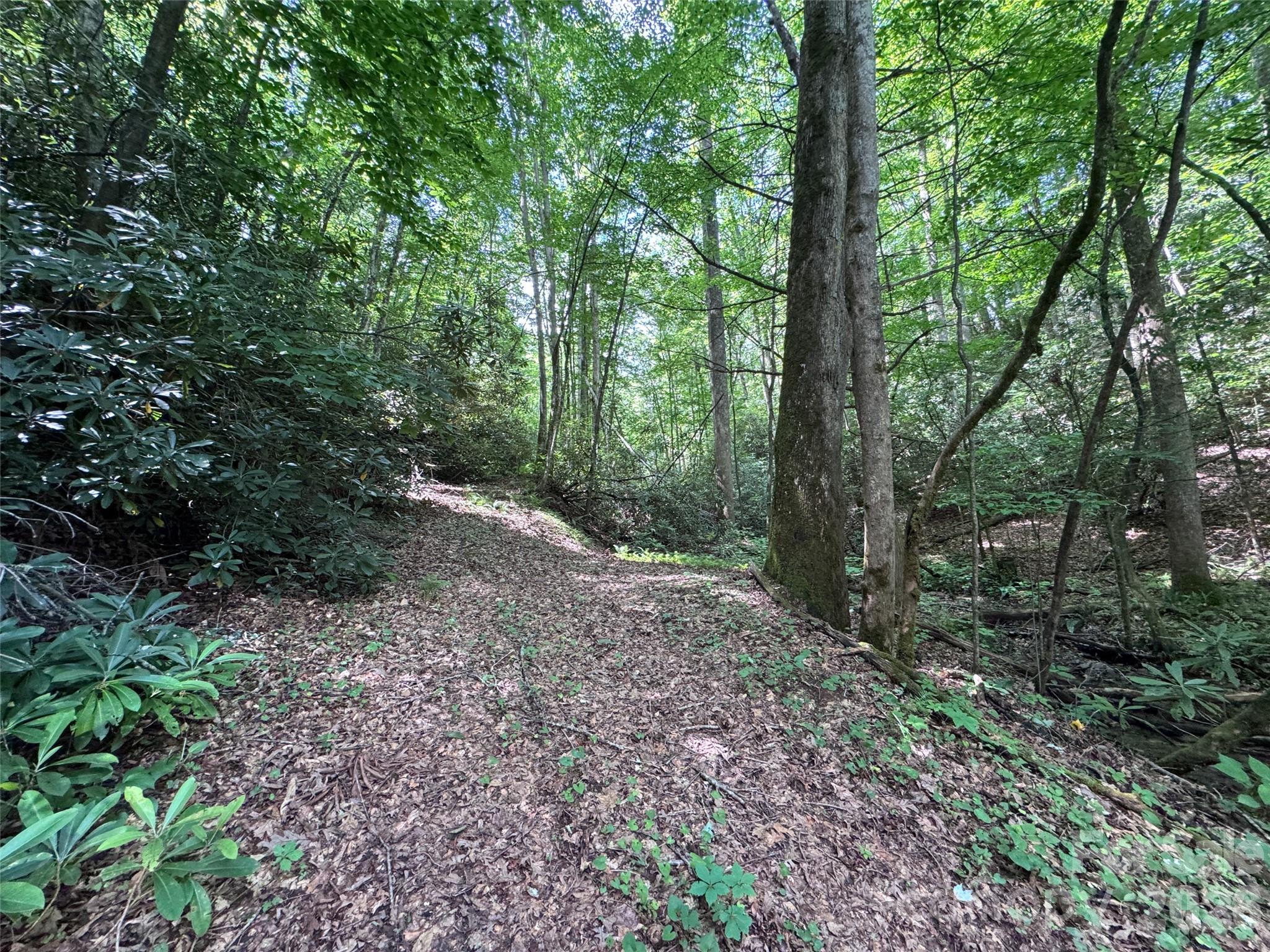 The Reserve - Land