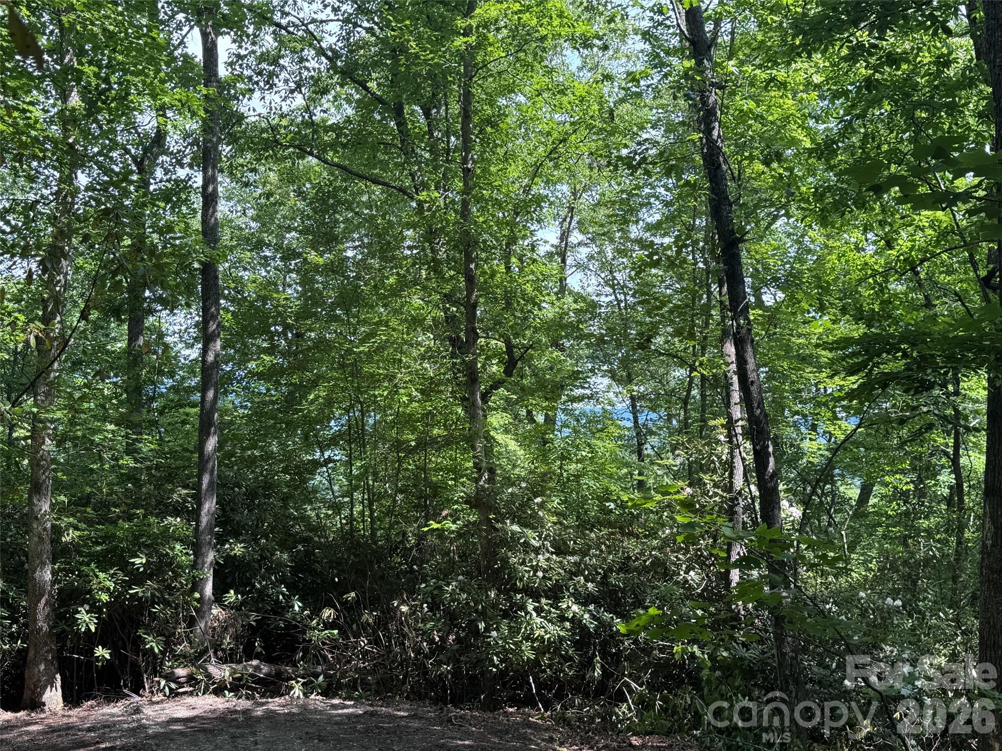 The Reserve - Land