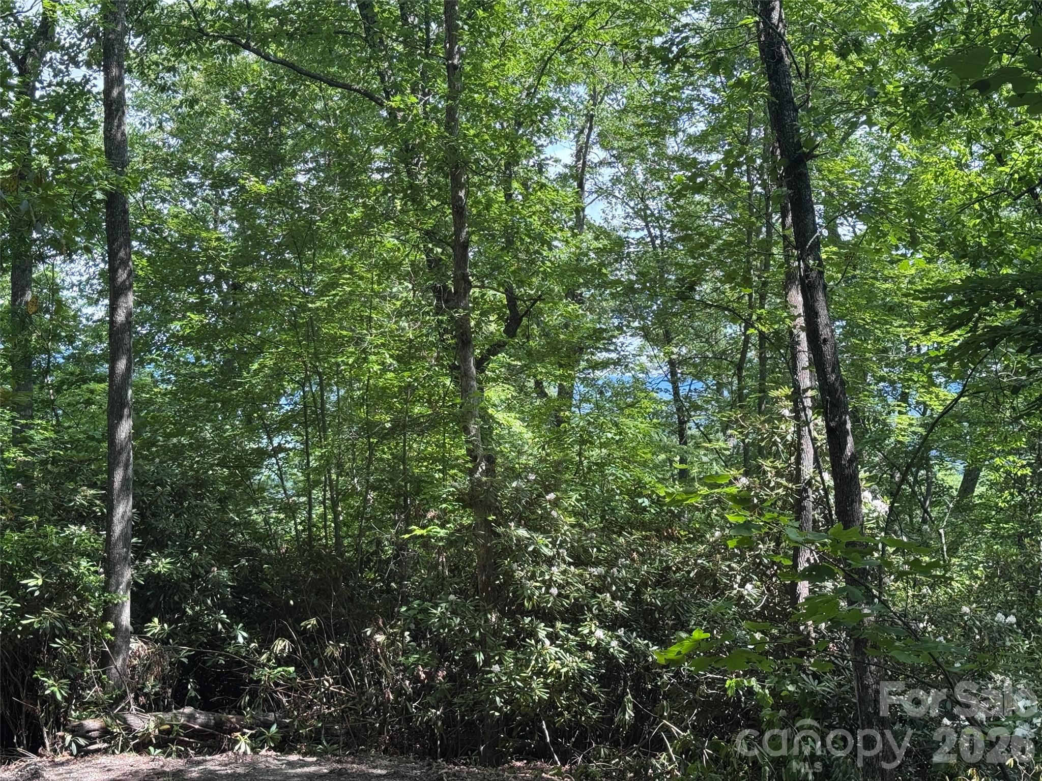 The Reserve - Land