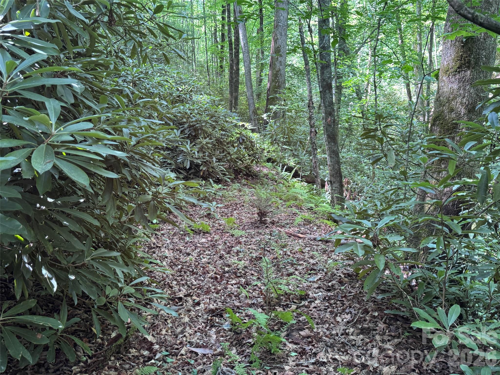 The Reserve - Land