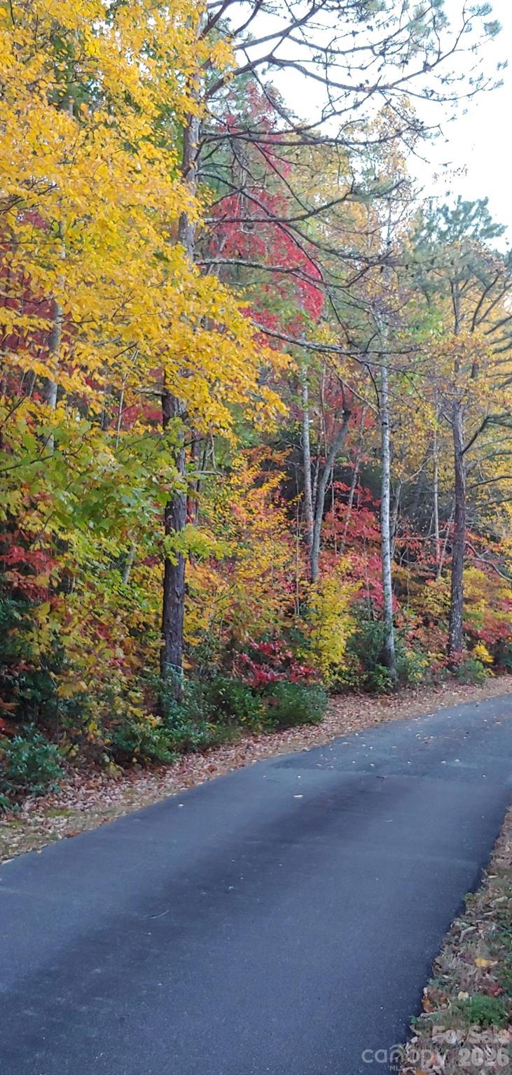 Fairview Forest - Land