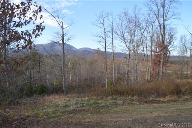 Good building site with fabulous mountain views, beautiful trees and mountain laurel in Gowan's Fort.  Gowan's Fort is a residential community in the Gowensville area below Hogback Mountain convenient to Landrum, Greenville and Spartanburg.