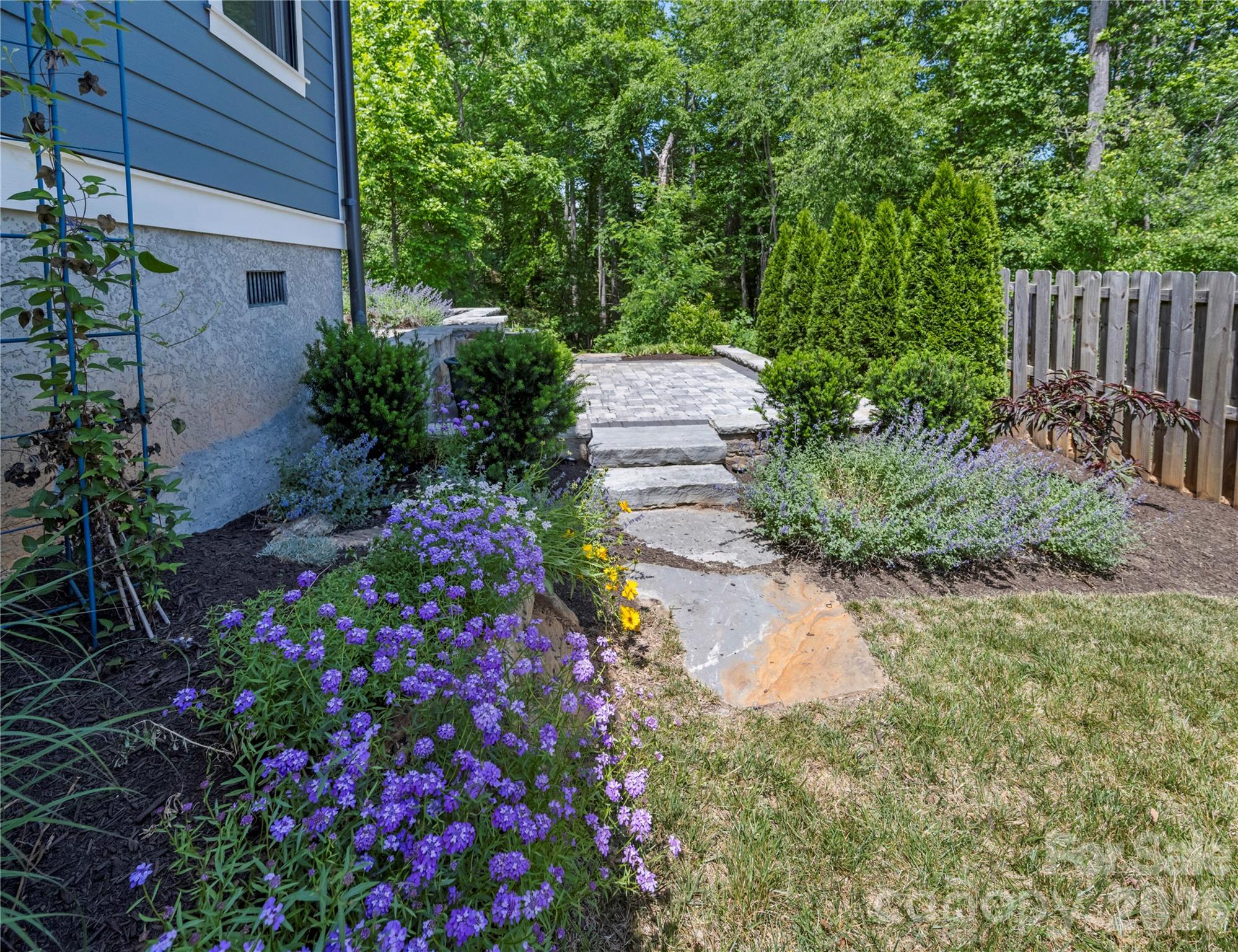 the Preserve at Avery's Creek - Residential