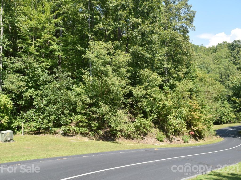 Make your mountain dream home come true by exploring the possibilities available to you in the outstanding community of Cummings Cove. This above road lot is ready for your vision, your house plans and your perfect touches. Enjoy a host of social activities available to you including a golf course, outdoor pool, spa, tennis courts, clubhouse, bocce ball and pickle ball. City water and community sewer available. Why wait any longer? You deserve it - live the life you choose!
