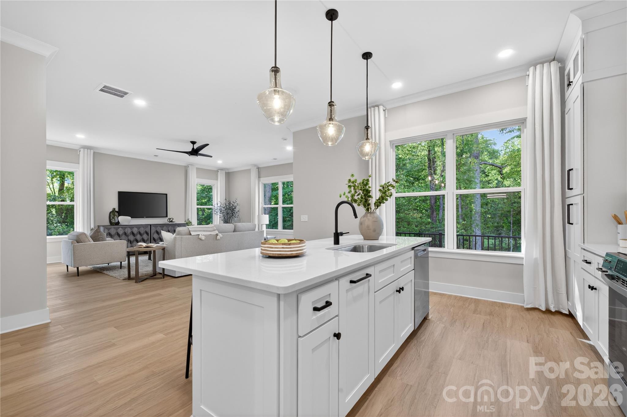 The Falls at Cloninger Mill - Residential