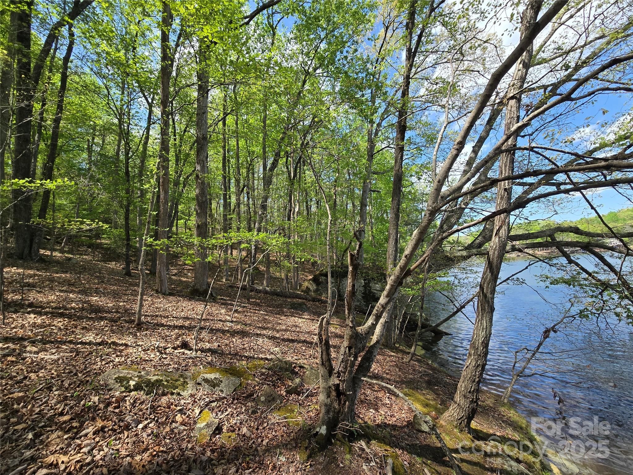 Woodland Estates - Land