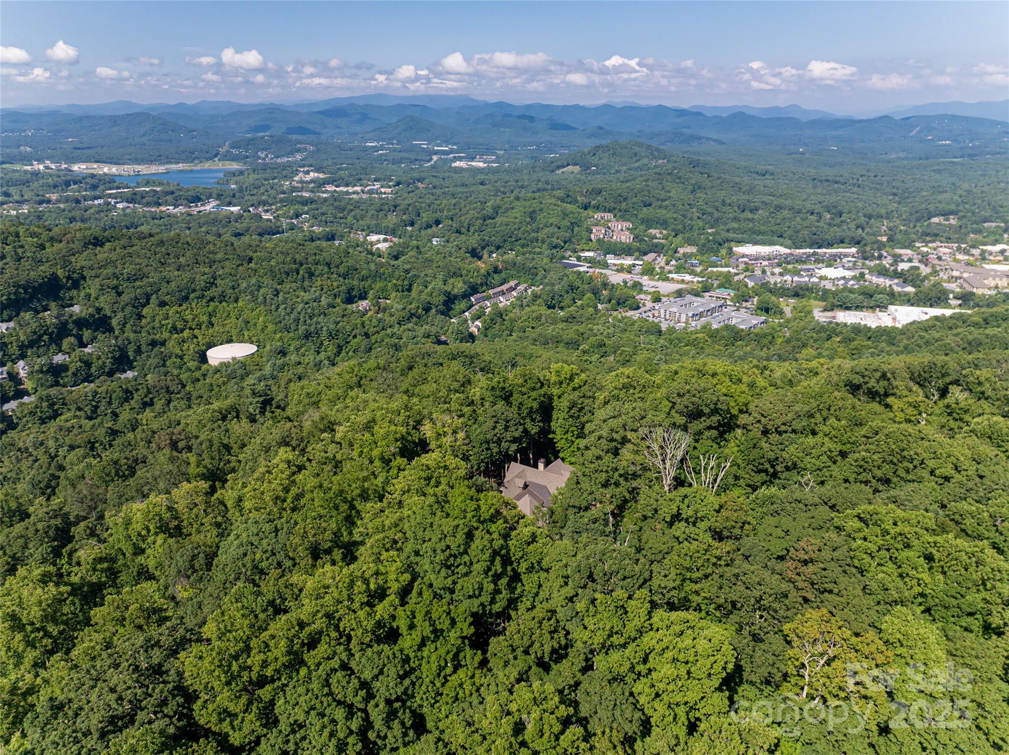 Pinchot Forest - Residential