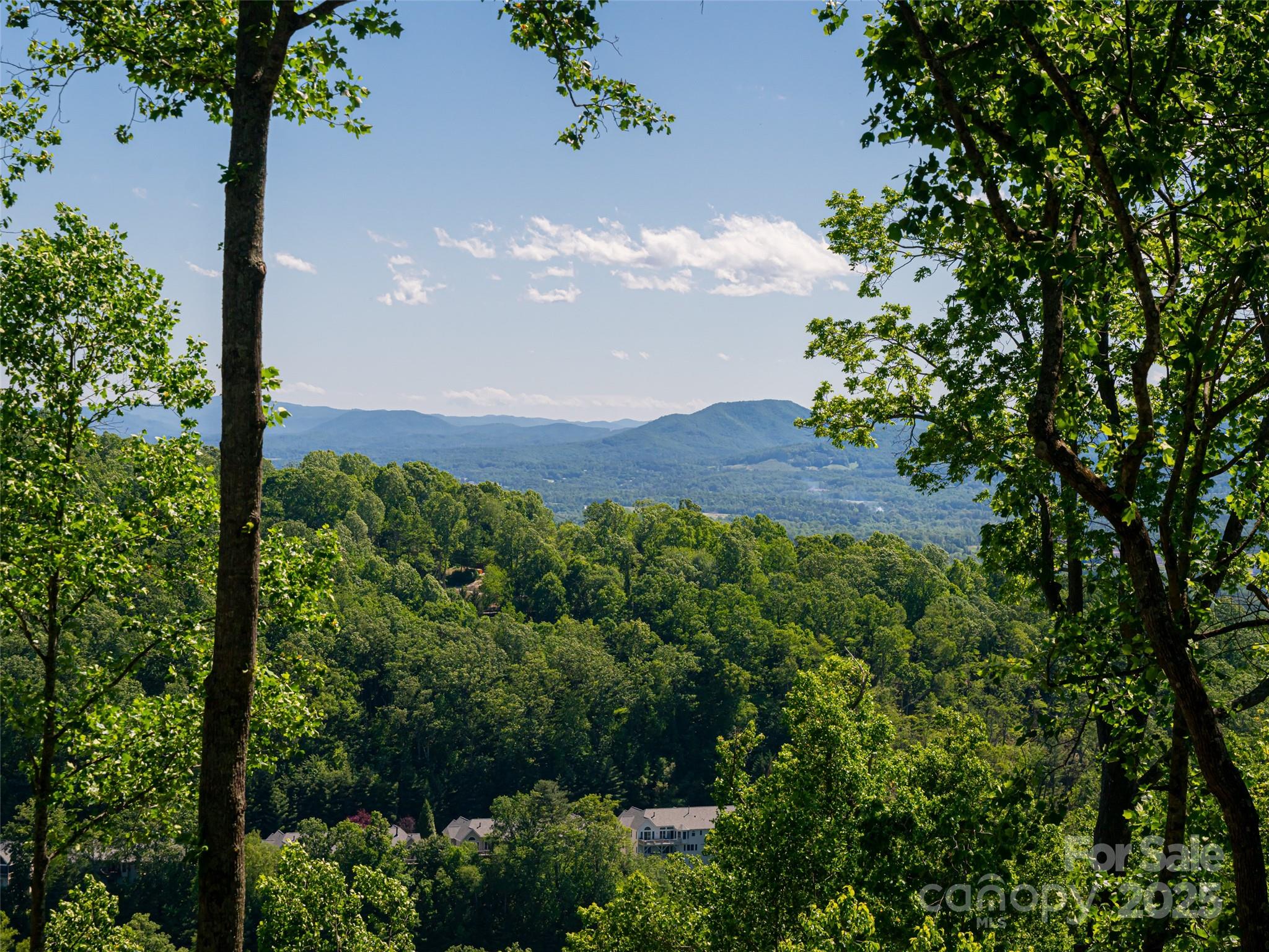 Pinchot Forest - Residential
