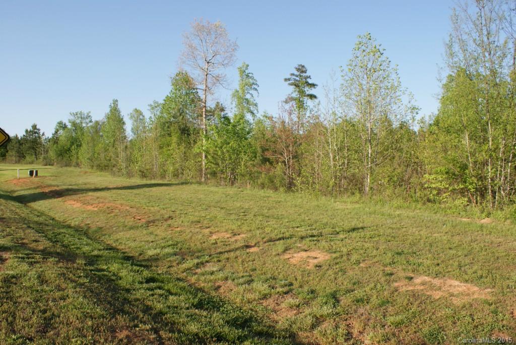 PRICED TO SELL!!  This lot is 1.72 acres in the beautiful Catawba Shores Estates subdivision. The Catawba river flows behind this beautiful piece of land.  Enjoy quite country privacy while having the amenities of a neighborhood.  Neighborhood has pool, walking trails, and access to kayaking and canoeing.  All home sites in the neighborhood are approximately one acre or more.  Just 10 minutes to Rock Hill.  Convenient to shopping and restaurants.