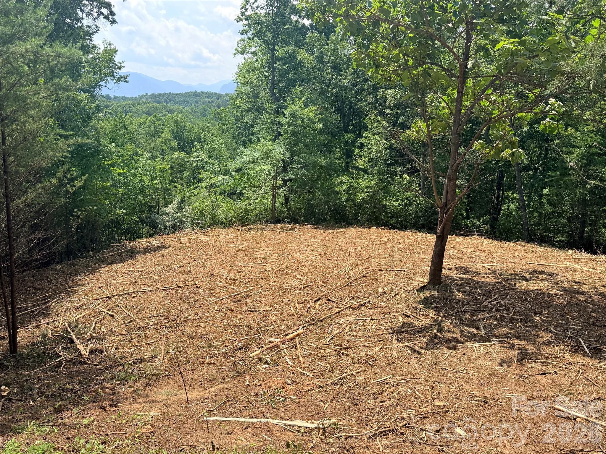 Vista At Bills Mountain - Land