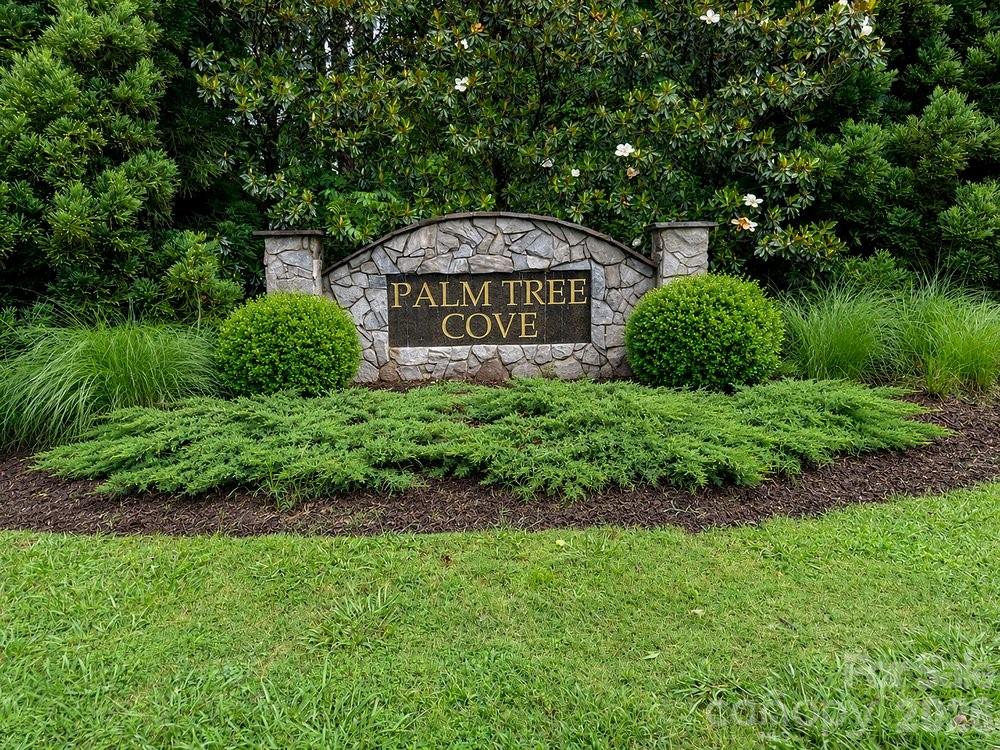 Palm Tree Cove - Residential