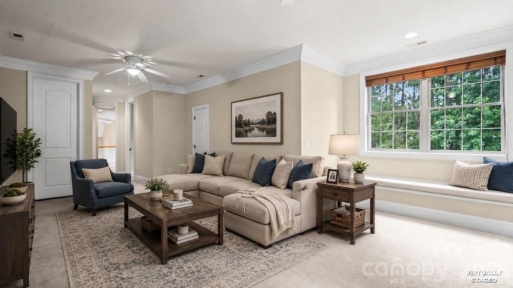 Palm Tree Cove - Residential