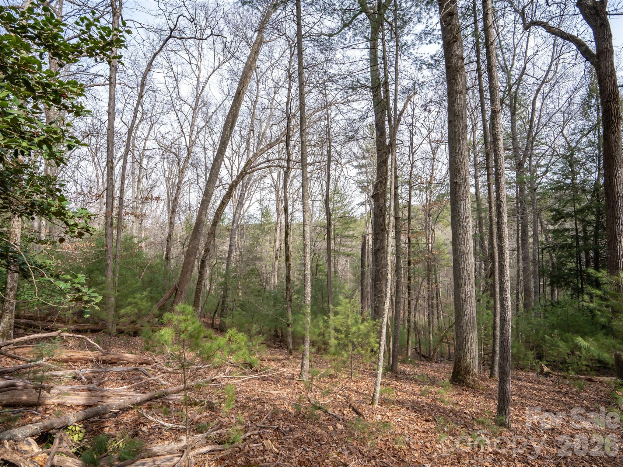 Biltmore Forest - Residential