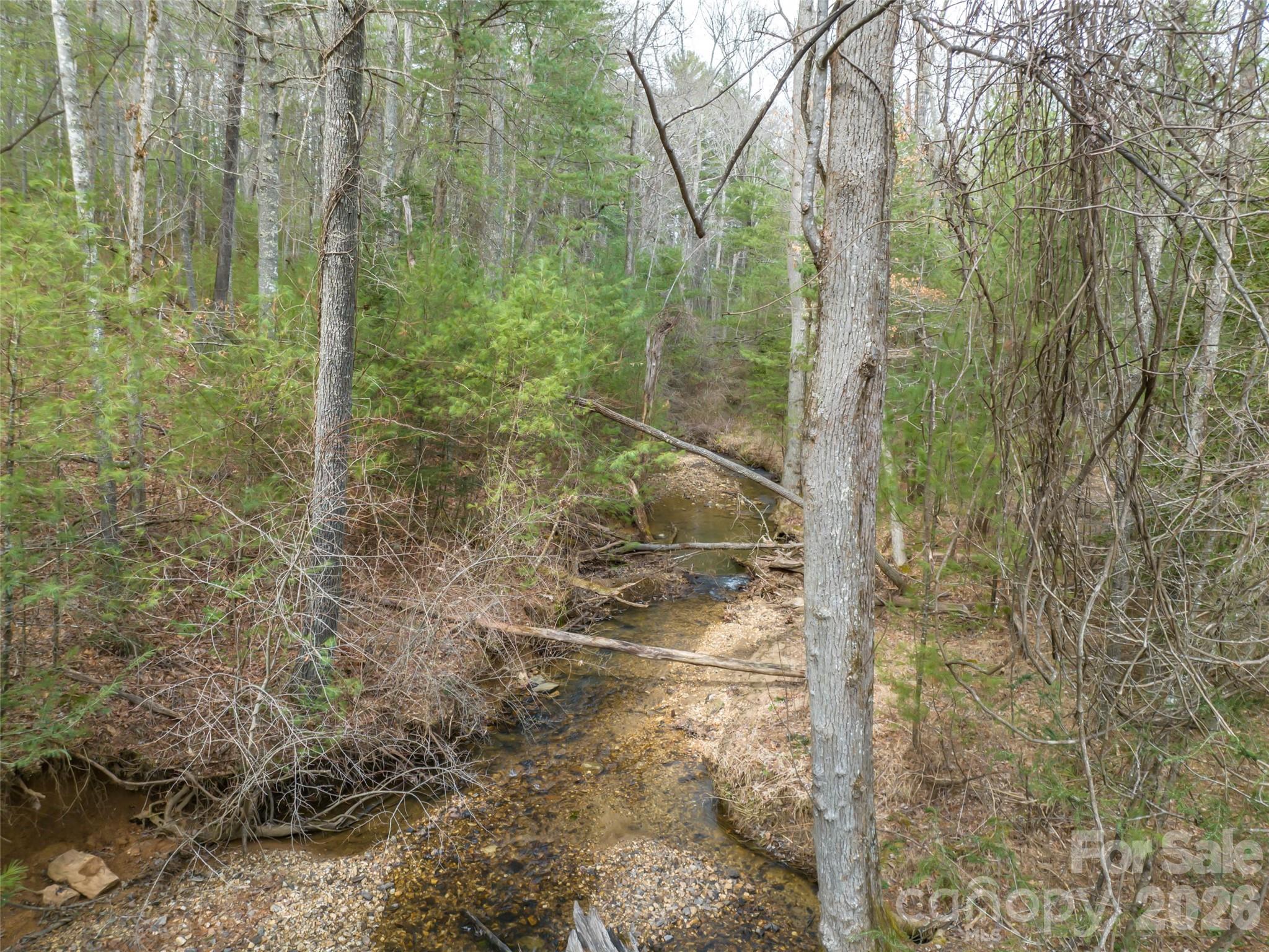 Biltmore Forest - Residential