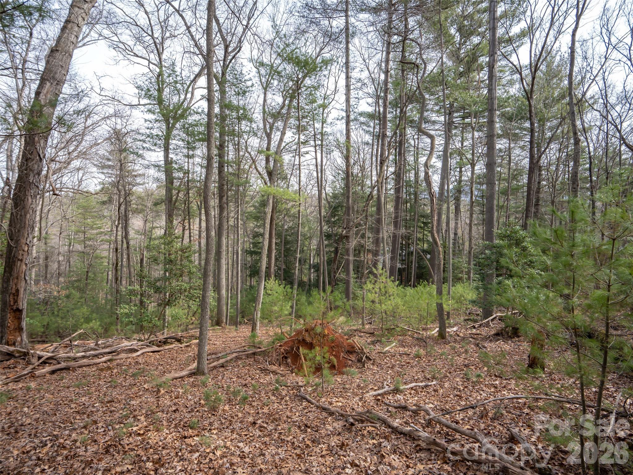 Biltmore Forest - Residential