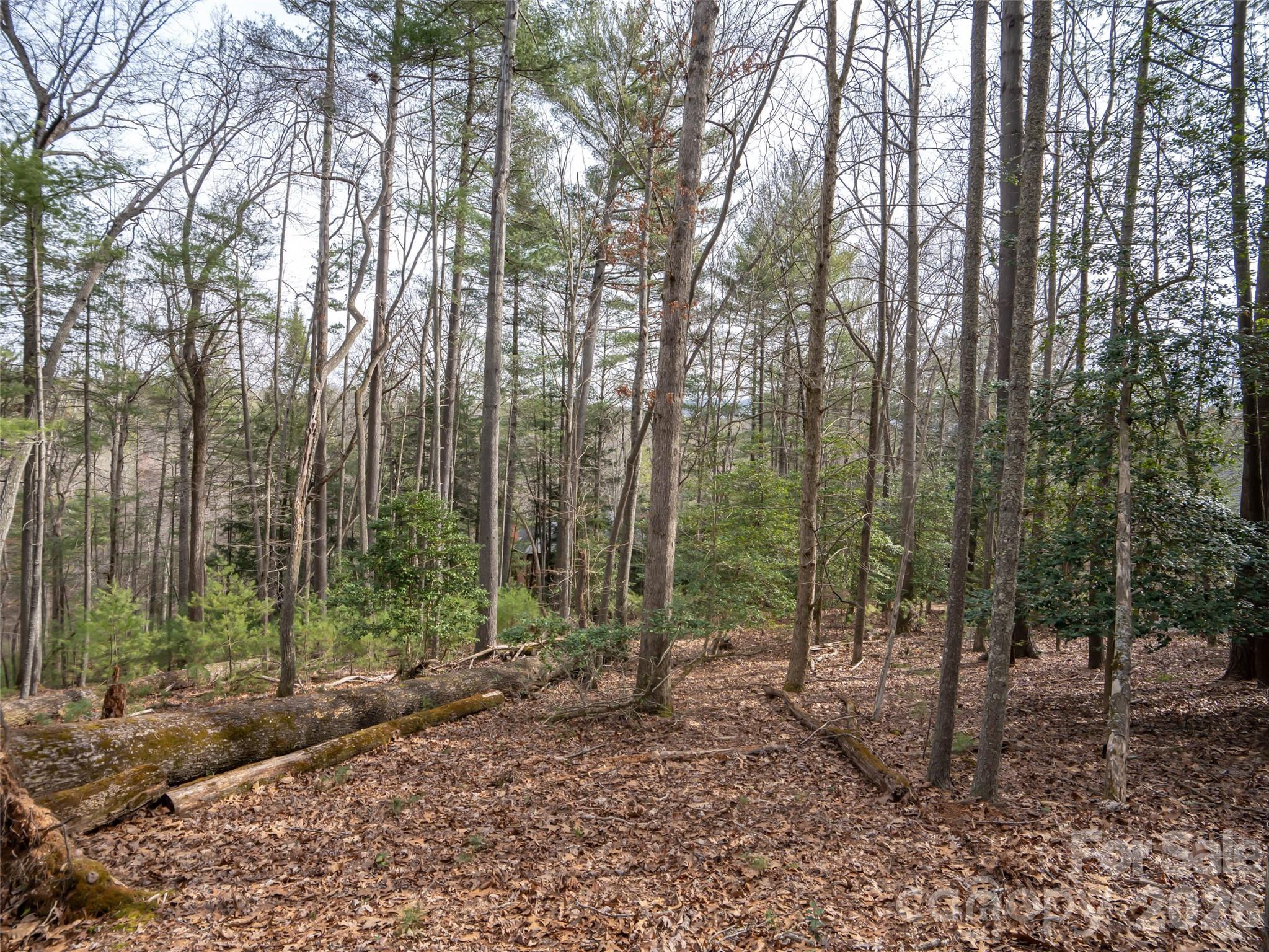 Biltmore Forest - Residential