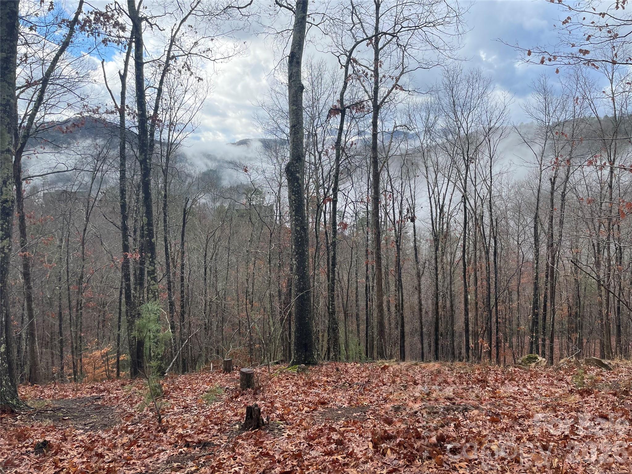 French Broad Crossing - Land