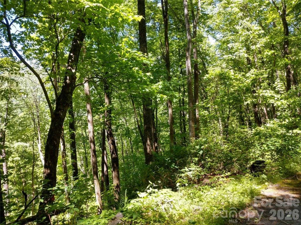 Welcome to Sleepy Hollow, this beautiful 1.47-acre lot, priced tens of thousands below tax value, offers long-range mountain views, mountain views in the gated community of Sleepy Hollow. This community features underground utilities and is within minutes of downtown Waynesville. Downtown Waynesville is a quaint town that offers an array of shops, boutiques, gift shops, specialty shops, art galleries, farm to table restaurants and breweries.  Downtown Waynesville hosts many festivals and events throughout the year including the Folkmoot Festival which is a 10-day celebration of world dance and music with visiting international groups performing at many events in July.  Enjoy nearby Elk watching or skiing at the Cataloochee Ski Area.  Come build your home in this private serene mountain community close to area amenities, attractions, events and festivals held throughout the year.