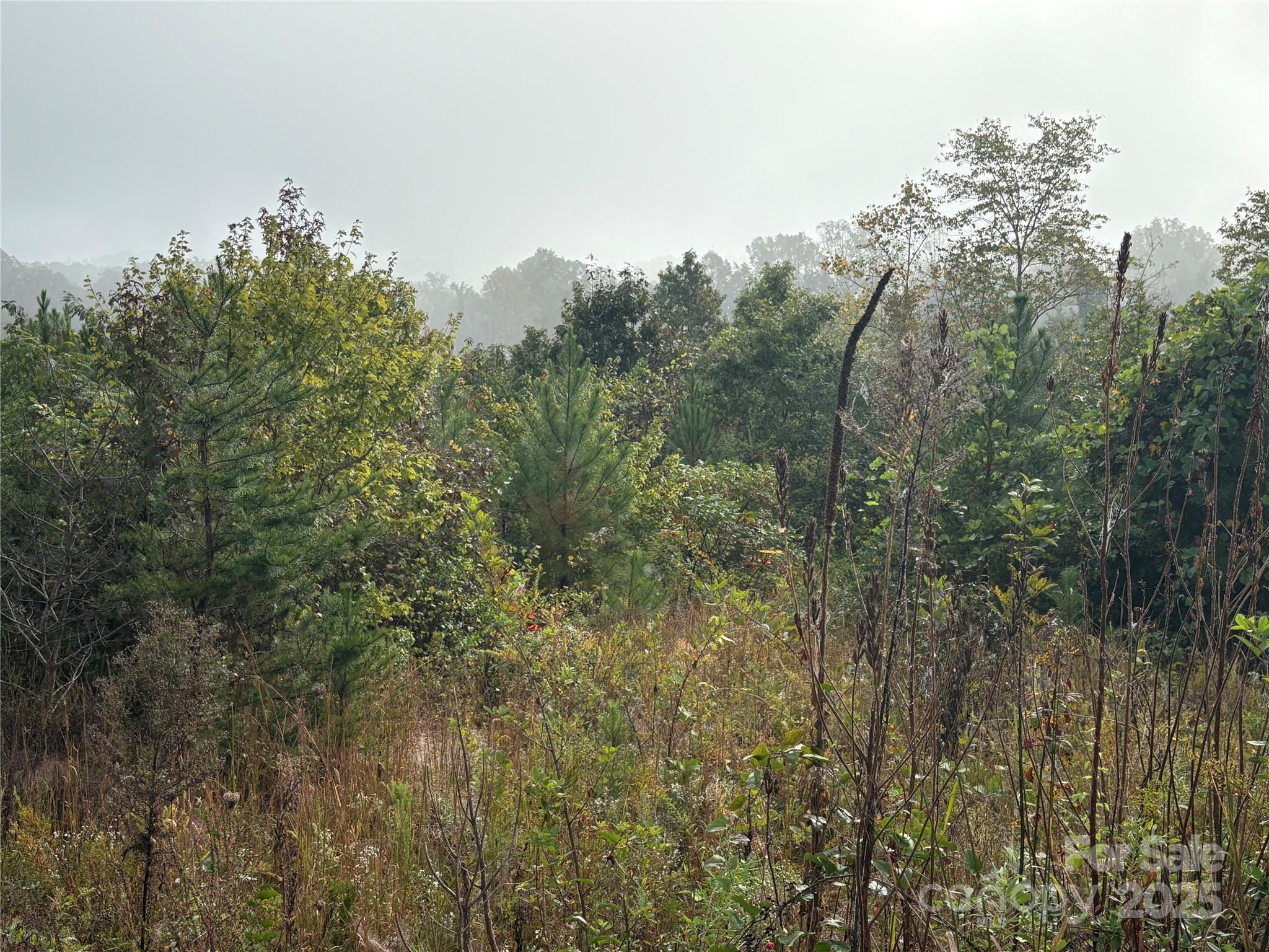 Prime 22+ acre tract just minuets from downtown Morganton and I-40 Features  approx. 600 ft of road frontage with and ideal Phase 1 layout for 9 homesites and room for future expansion. A 4-inch water main currently serves the area with upgrades planned in the next few years. Rolling terrane and a highly convenient location make this a great fit for residential development or long-term investment. Excellent opportunity in a fast-growing corridor.