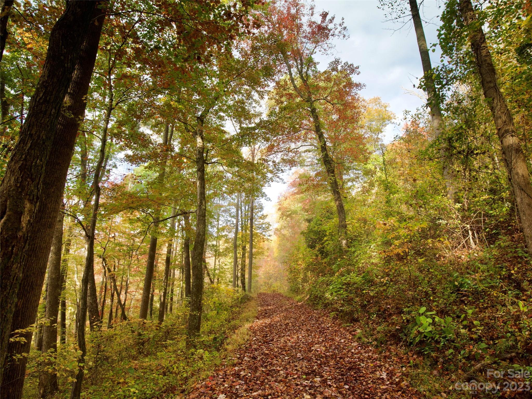The Cliffs at Walnut Cove - Land