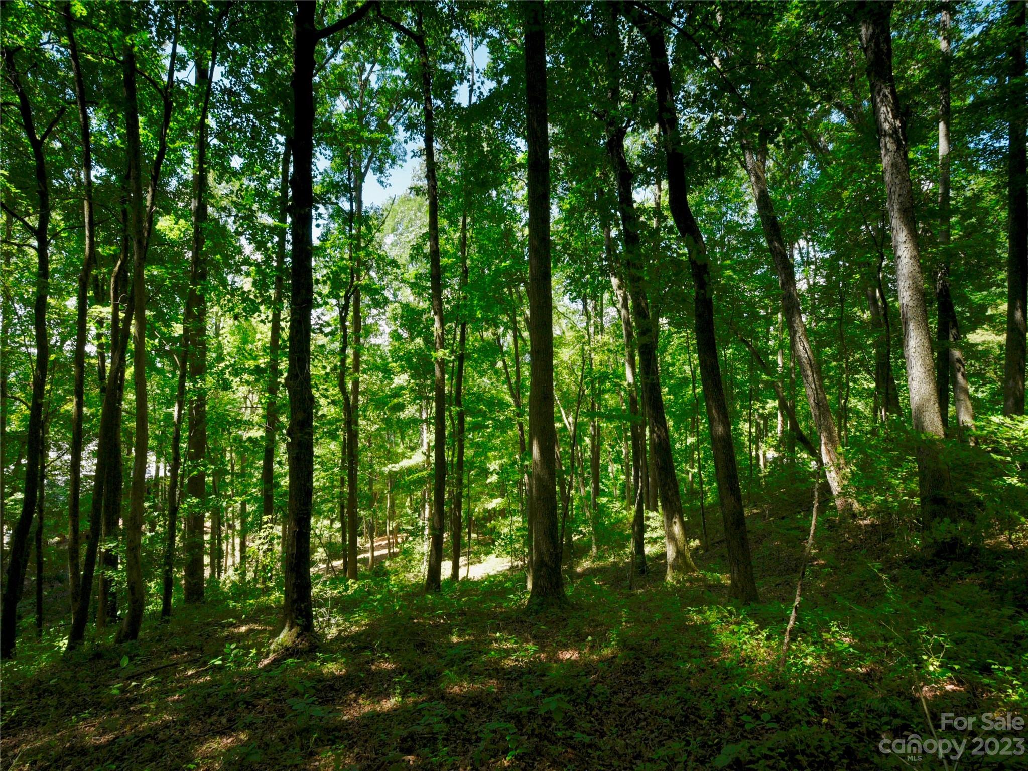 Highly desirable lot in The Cliffs at Walnut Cove, close to Club amenities and main gate. Located at the end of a quiet cul-de-sac and elevated above the road, this lot has plans available, along with survey and topo completed. Come bring your imagination and visualize sipping on your morning coffee while you take in the beautiful scenery from your screened porch. Become a part of this vibrant mountain community that is ready to welcome you home…This lot is priced to sell and won't last long. Club membership available for purchase.