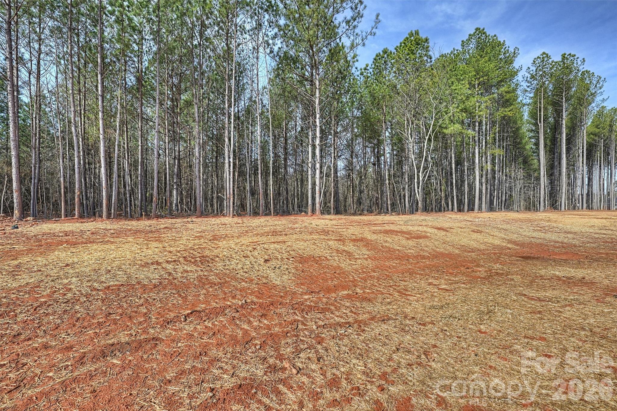 North Pines - Residential