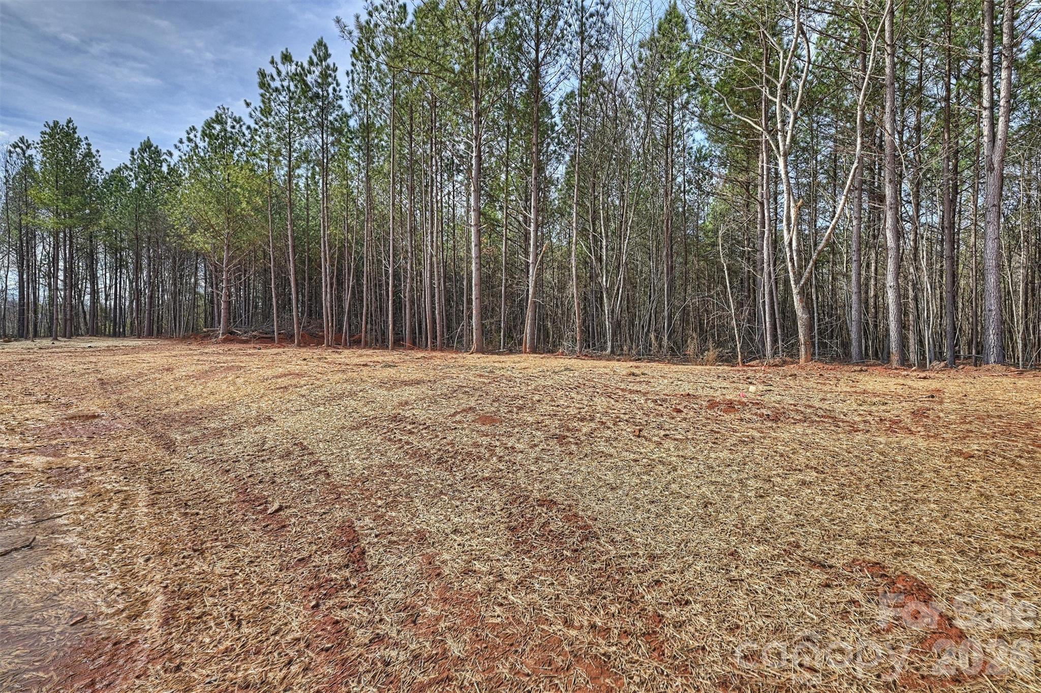 North Pines - Residential