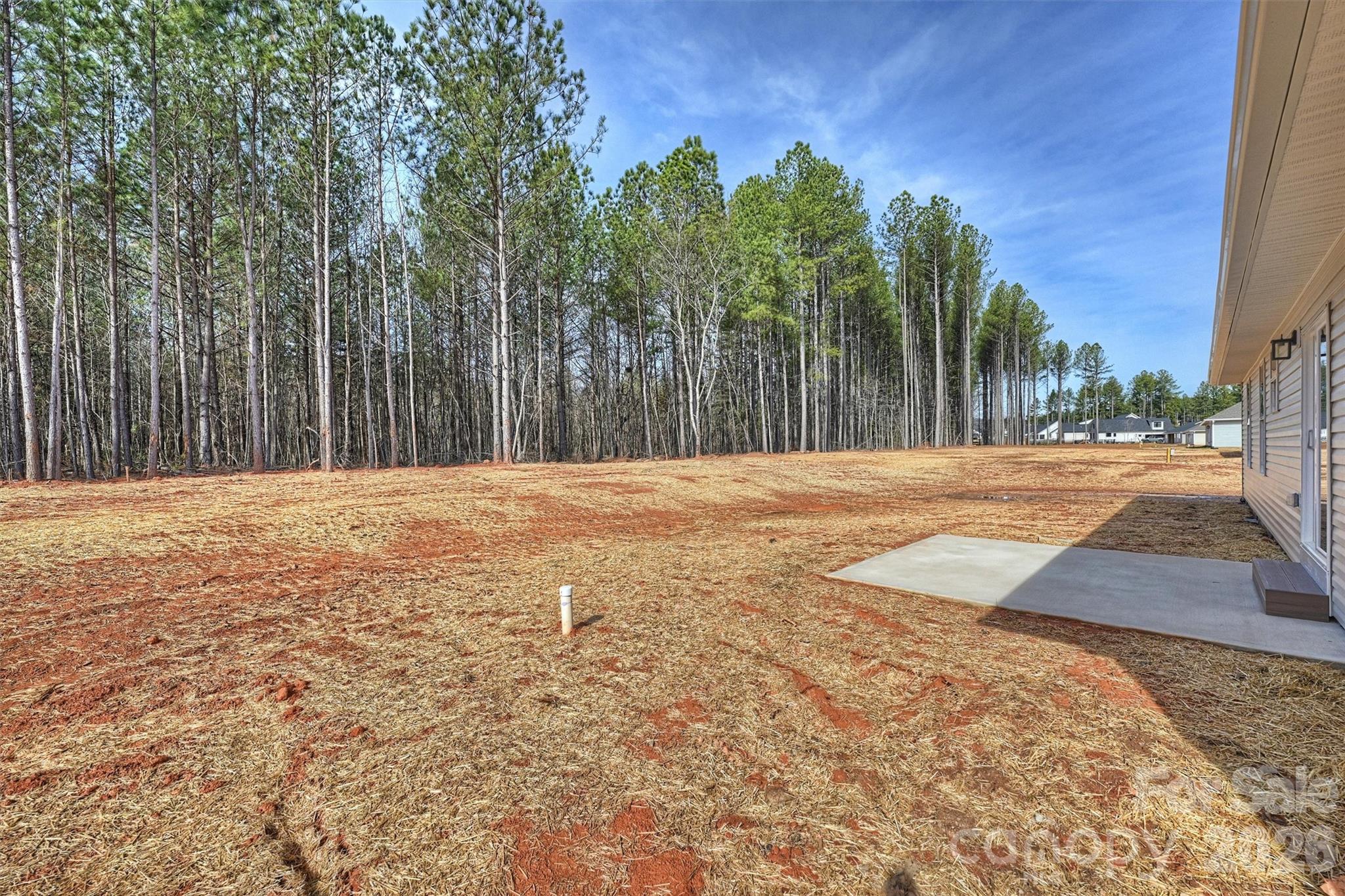 North Pines - Residential
