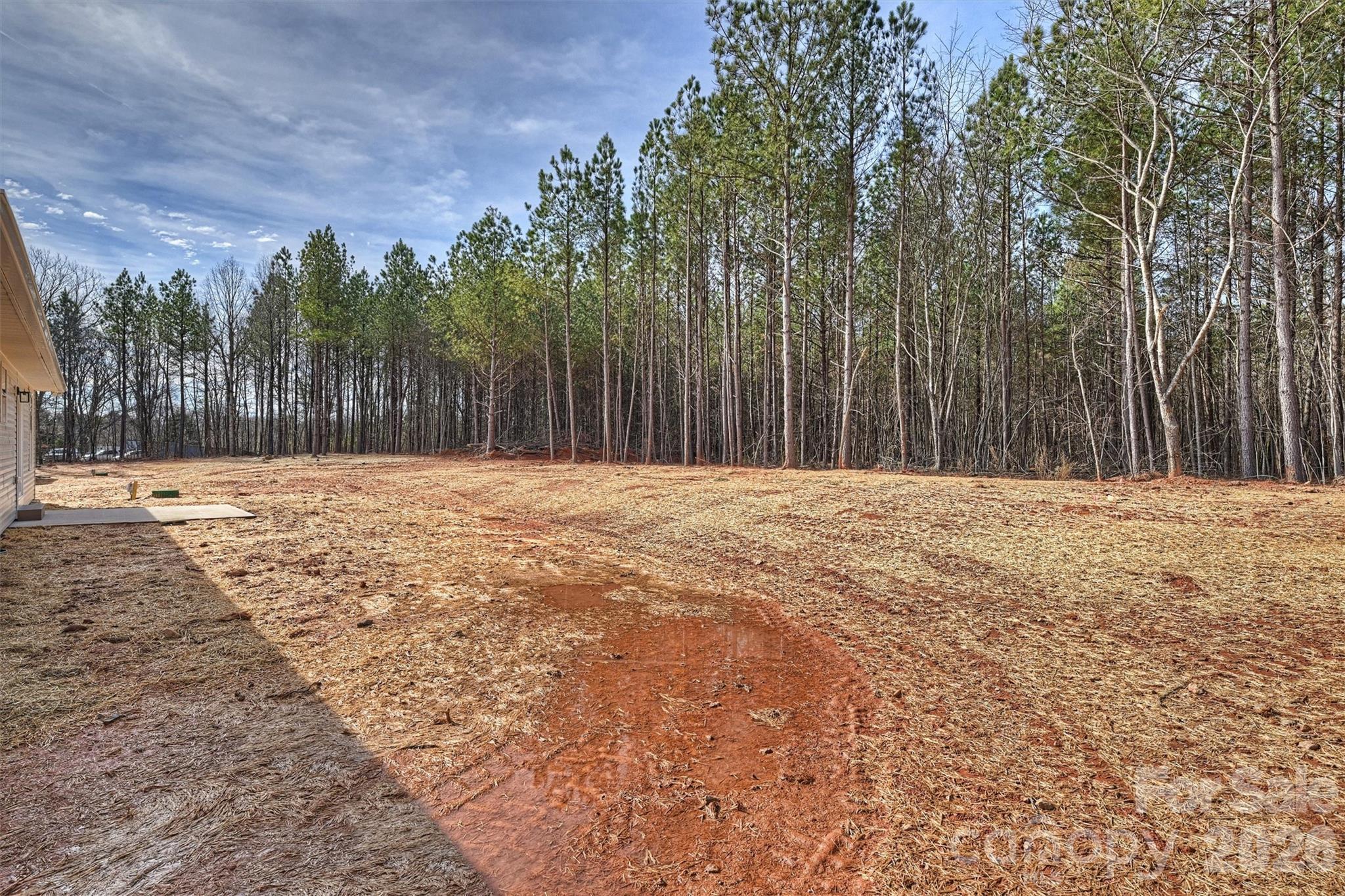 North Pines - Residential