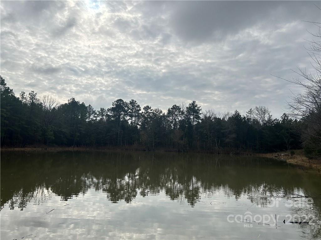 Great location just north of Chester, SC on Armory Road.  Come see 150 acres of prime real estate with approximately 3000 feet (50 acres) on one side of Armory Road and 3500 feet (100 acres) on the other side of this paved road.  Too many beautiful homesites to describe located all over this amazing tract of land. There are two ponds perfectly located on the 100 acre portion of the tract. The other side of the tract features well places food plots and natural habitat for wildlife. This property has a good mix of planted pine, natural pine, hardwood, and fields making it a sportsman's paradise.
