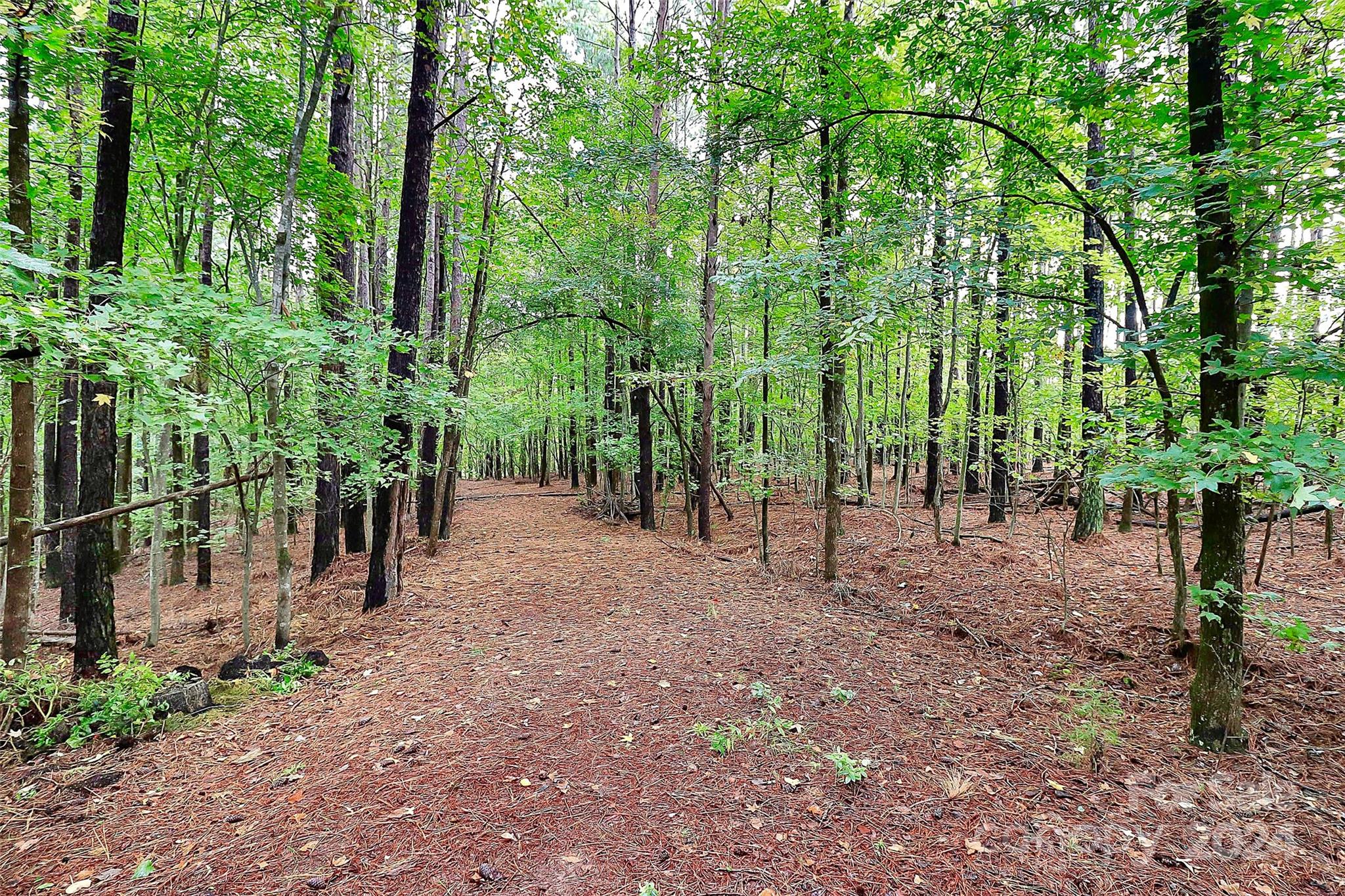 Handsmill On Lake Wylie - Residential
