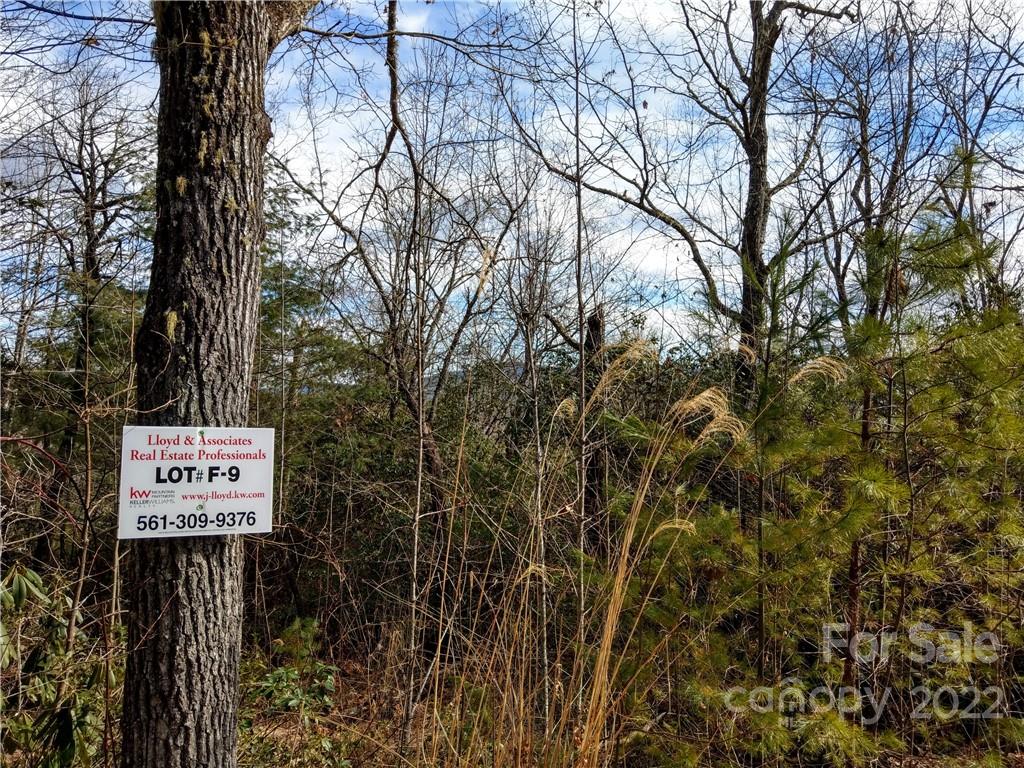 Dogwood Mountain Estates - Land