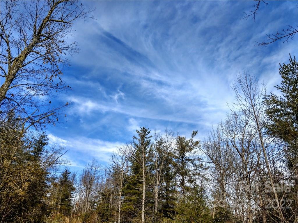 Dogwood Mountain Estates - Land