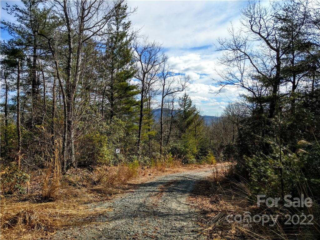 Tranquil and scenic Carolina mountain top living is what you will find here! This 1.07 acre level to gentle sloping lot in private Dogwood Mountain Estates is an excellent opportunity to build your forever, or a vacation home. Underground electric is already installed. Approximately 3300 ft above sea level. Located just minutes from DuPont State Forest, and the Oscar Blues Ranch as well as conveniently located close to  Historic Hendersonville and Brevard. ***This lot is not currently part of the Dogwood Mountain Estate HOA. Seller makes no representations regarding, and it is the buyer's responsibility to determine, the property's relationship to the HOA and any road Maintencance responsibility/fees. Please contact the Dogwood Mountain Estate HOA president-- Mike Hopton (251) 402-2504 for information. ***Buyer accepts full responsibility for septic permit/soil (perc) test and any required preparation, process and fees***