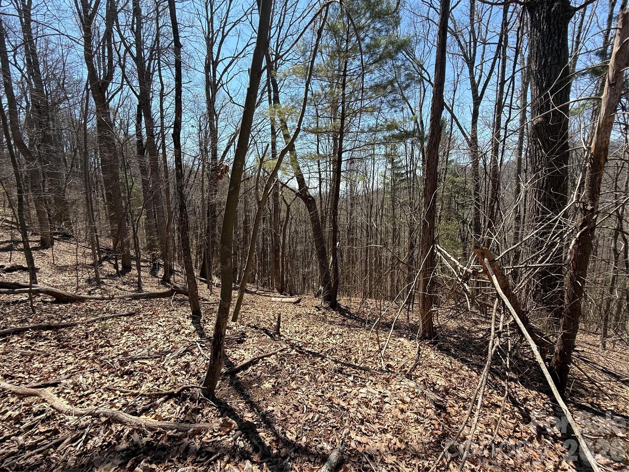 Laurel Highlands - Land
