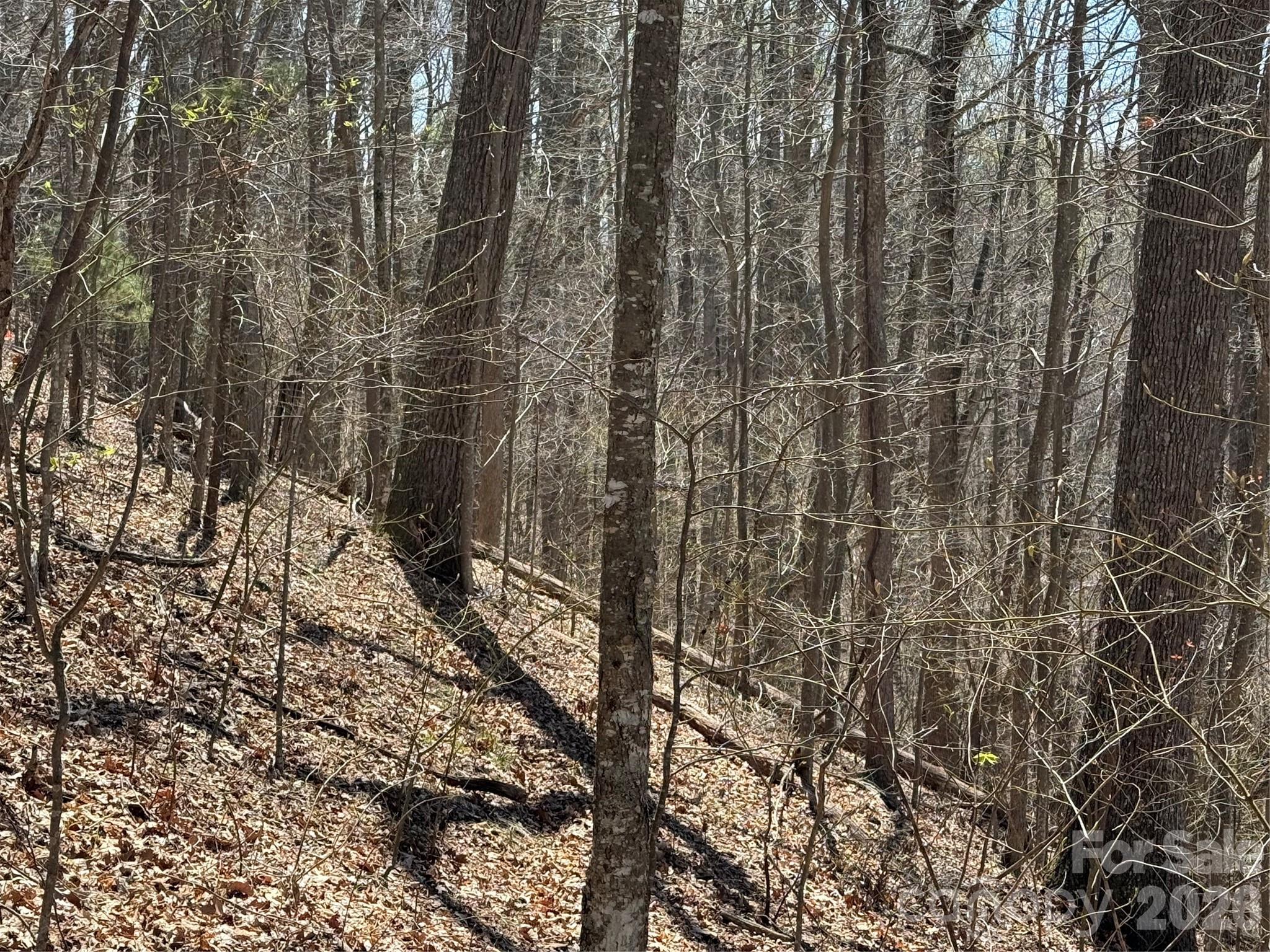Laurel Highlands - Land