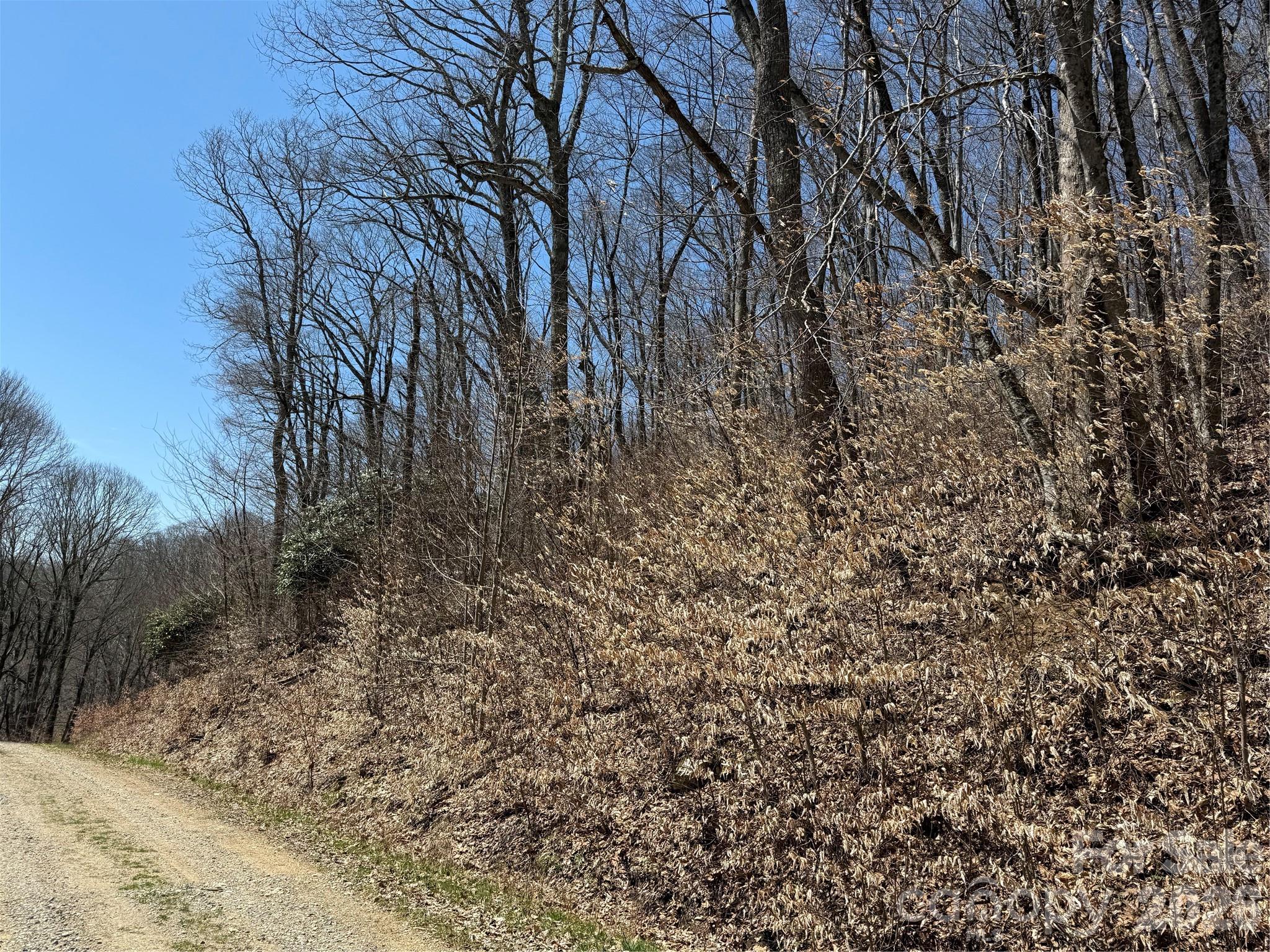 Laurel Highlands - Land