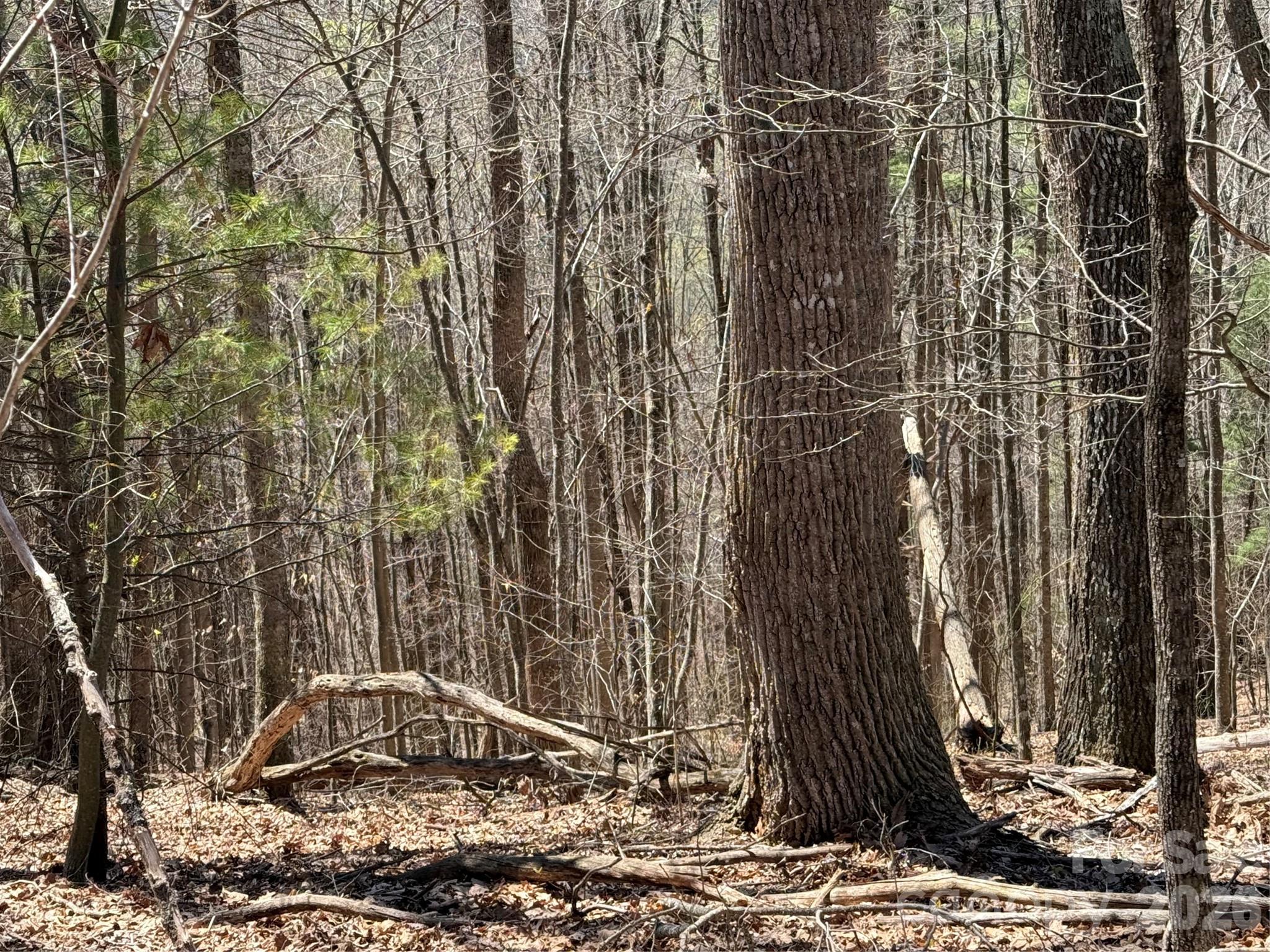 Laurel Highlands - Land