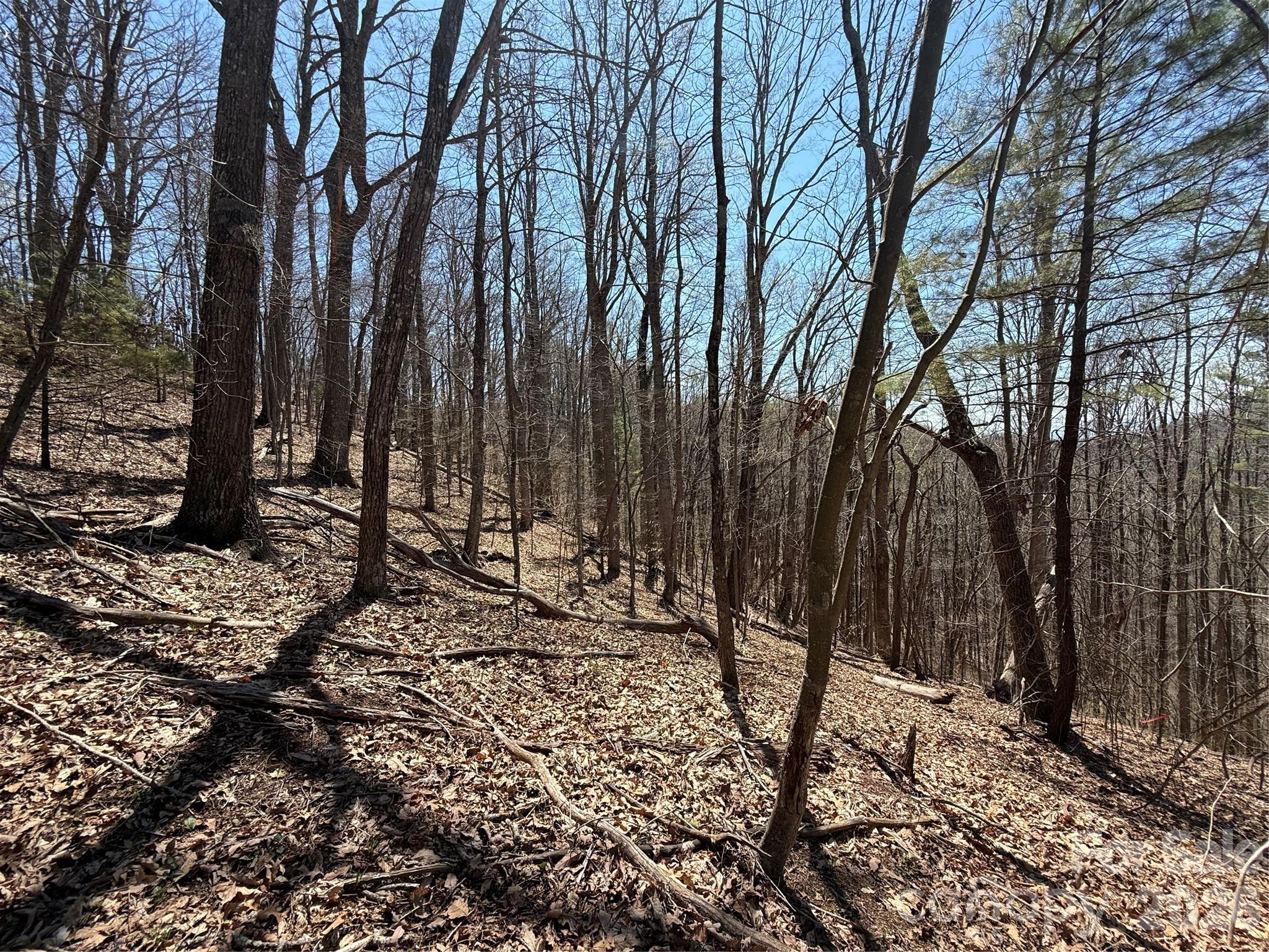 Laurel Highlands - Land