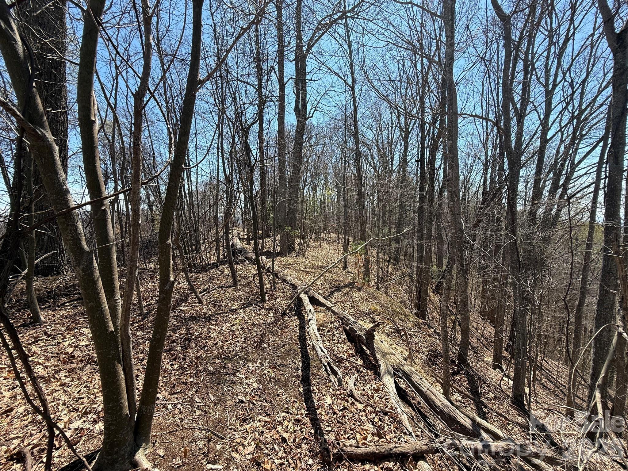 Laurel Highlands - Land