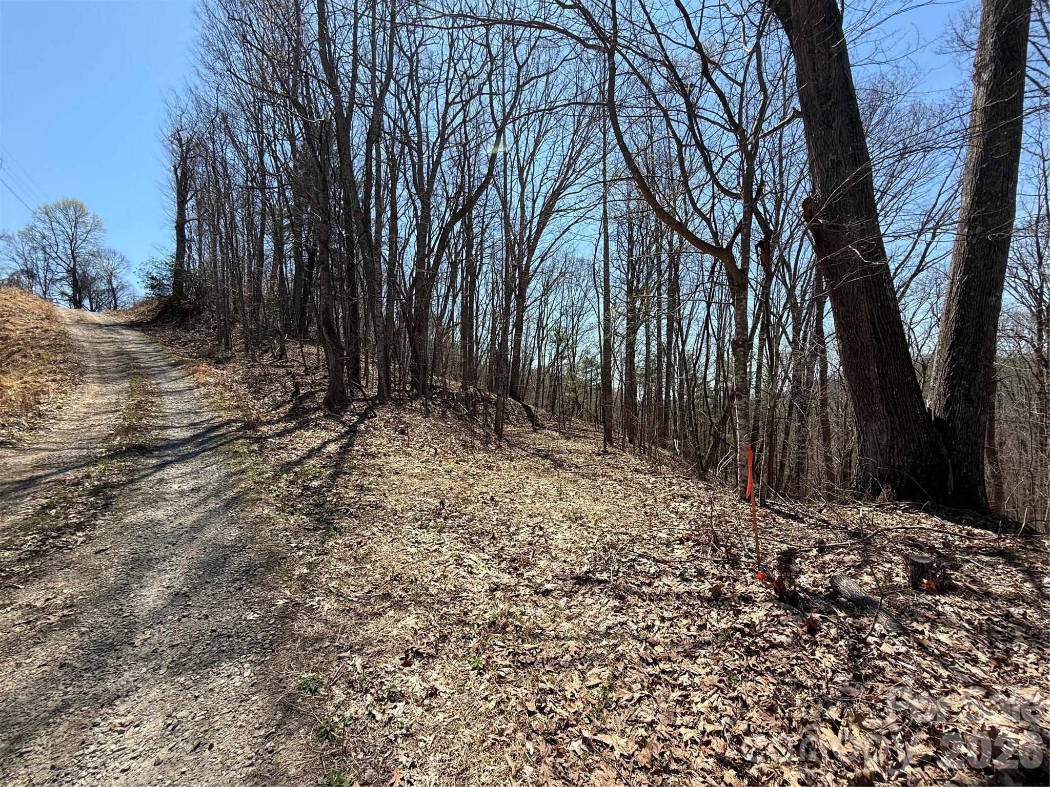 Laurel Highlands - Land