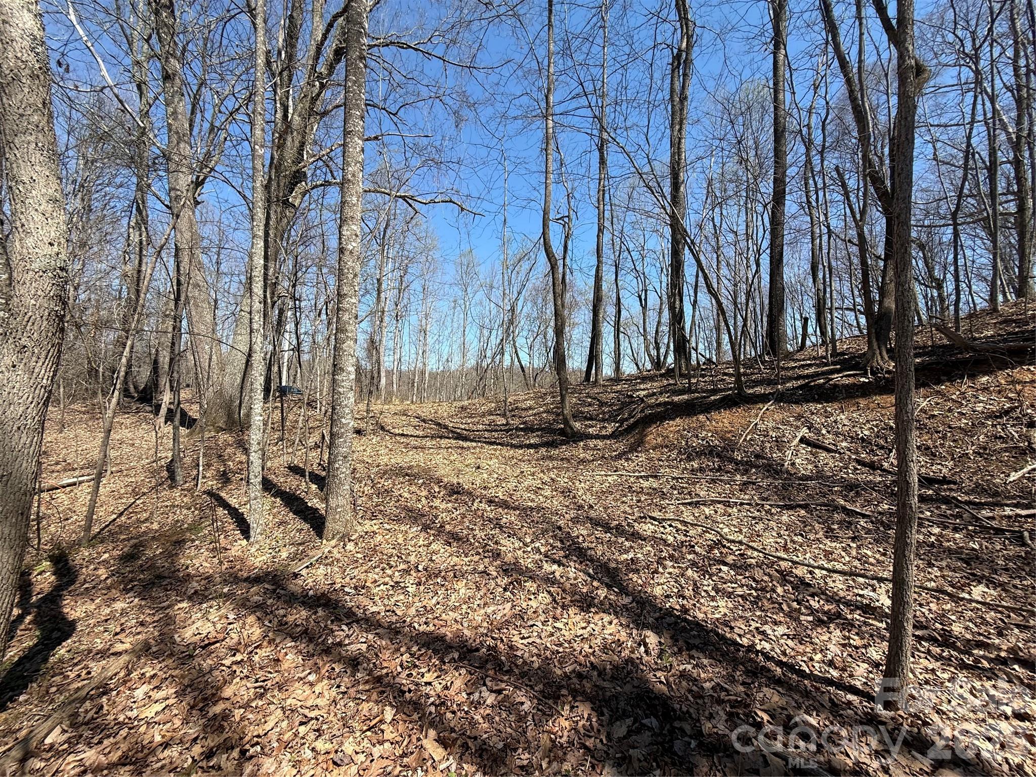 Laurel Highlands - Land