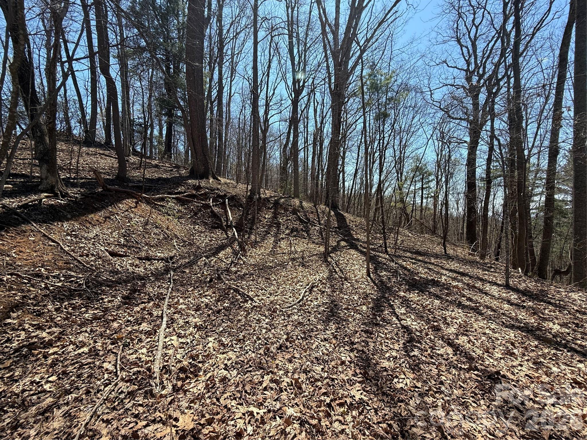 Laurel Highlands - Land