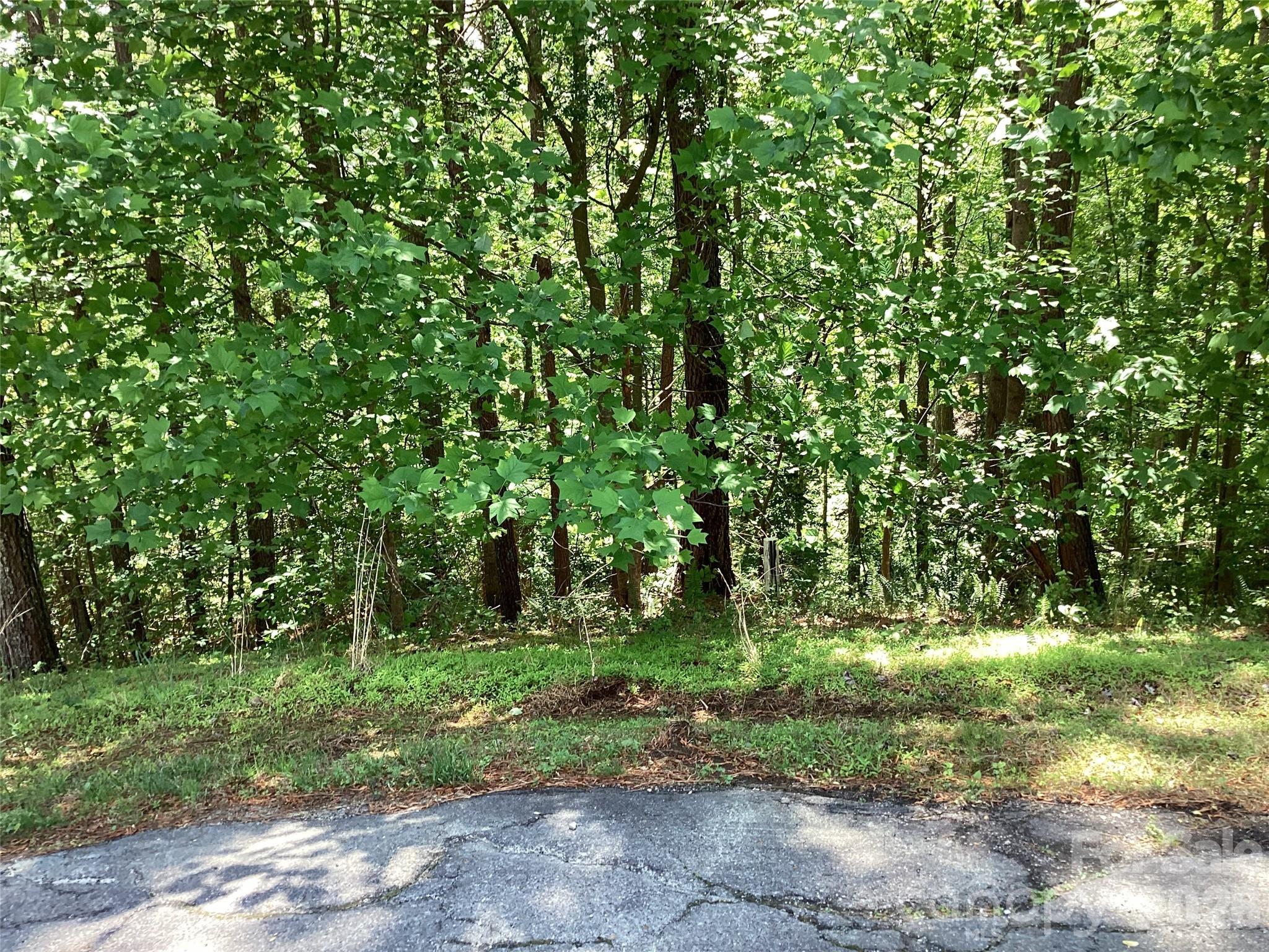 Waterfront opportunity in Harbor Ridge on Lake Rhodhiss! Lot 67 at 101 Pier Point offers the chance to build your lake retreat in a gated Connelly Springs community surrounded by water, trees, and foothills scenery. This undeveloped waterfront homesite gives you the canvas to create the lake lifestyle buyers are looking for — quiet mornings by the water, weekends on the lake, fresh mountain air, and a slower pace without being completely disconnected. Located near the community boat slips and lake access area, this lot is well positioned for easy enjoyment of Lake Rhodhiss and the natural setting that makes Harbor Ridge feel like a true retreat. Whether envisioned as a weekend getaway or a full-time lake-area home, this property offers space, privacy, and the opportunity to build around the way you actually want to live. Approximately 60–70 miles from Charlotte, Harbor Ridge feels tucked away while still being close enough to enjoy often. Buyer/buyer agent to verify lot dimensions, building requirements, HOA/architectural guidelines, utility availability, septic permitting, shoreline details, community amenity access, and dock/boat slip eligibility.
