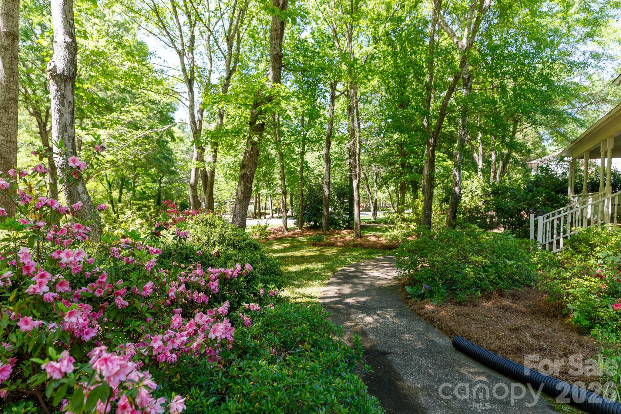 Wood Forest - Residential