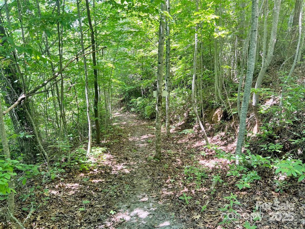 Beechwood - Land